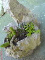 Mini skalka malá